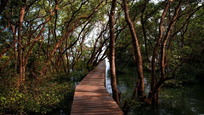 Eco-Tourism on Anna Maria Island