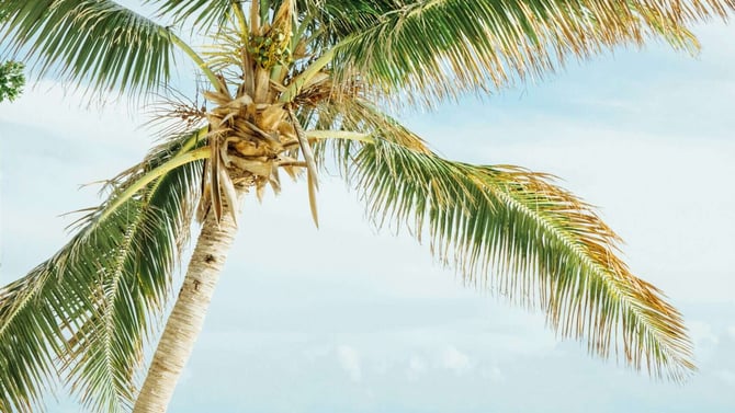 Anna Maria Island: A Snowbird’s Paradise